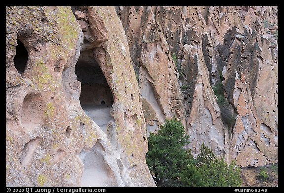 Caves in volcanic tuff rock. Bandelier National Monument, New Mexico, USA (color)