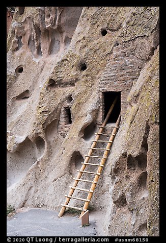 Ladder leading to cave dwelling. Bandelier National Monument, New Mexico, USA (color)