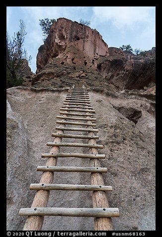 Tall ladder leading to Alcove House. Bandelier National Monument, New Mexico, USA (color)
