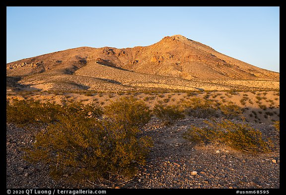 Shurbs and Picacho Mountain, late afternoon. Organ Mountains Desert Peaks National Monument, New Mexico, USA (color)