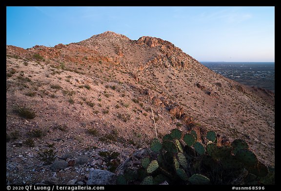 Cactus and Picacho Mountain, dusk. Organ Mountains Desert Peaks National Monument, New Mexico, USA (color)