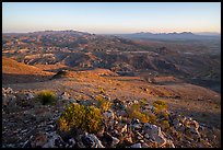 Robledo Mountains and Dona Anna Mountains from Picacho Mountain. Organ Mountains Desert Peaks National Monument, New Mexico, USA ( color)