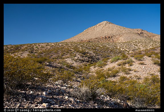 Picacho Mountain from Box Canyon. Organ Mountains Desert Peaks National Monument, New Mexico, USA (color)