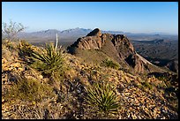 Organ Mountains seen from Dona Ana mountains. Organ Mountains Desert Peaks National Monument, New Mexico, USA ( color)