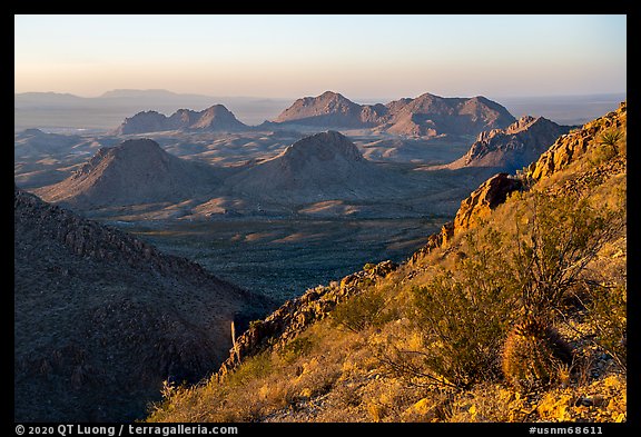 Barrel Cactus and Dona Ana Mountains. Organ Mountains Desert Peaks National Monument, New Mexico, USA (color)