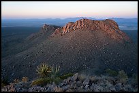 Sotol, Dona Ana mountains at sunset. Organ Mountains Desert Peaks National Monument, New Mexico, USA ( color)