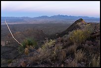 Organ Mountains from Dona Ana Peak at sunset. Organ Mountains Desert Peaks National Monument, New Mexico, USA ( color)