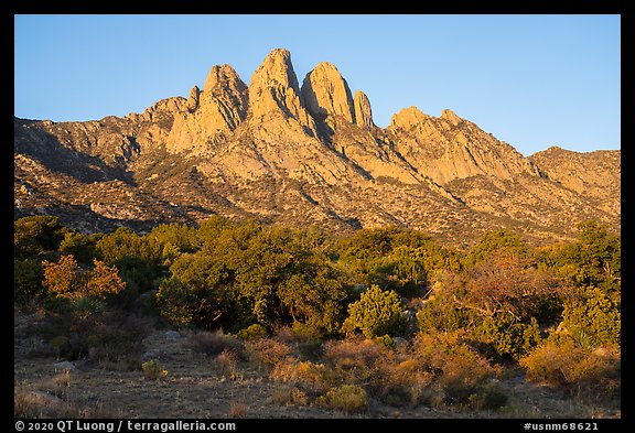 Chihuanhan desert shurbs and Rabbit Ears. Organ Mountains Desert Peaks National Monument, New Mexico, USA (color)