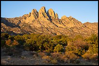 Chihuanhan desert shurbs and Rabbit Ears. Organ Mountains Desert Peaks National Monument, New Mexico, USA ( color)