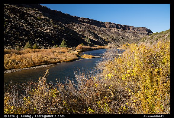 Shrubs in autum foliage and cliffs, Orilla Verde. Rio Grande Del Norte National Monument, New Mexico, USA (color)