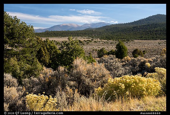 Sage, Juniper and Guadalupe Mountain. Rio Grande Del Norte National Monument, New Mexico, USA (color)