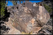 Boulder with petroglyphs, Big Arsenic. Rio Grande Del Norte National Monument, New Mexico, USA ( color)