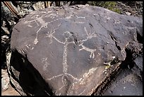Large human figure petroglyphs on top of bouder, Big Arsenic. Rio Grande Del Norte National Monument, New Mexico, USA ( color)