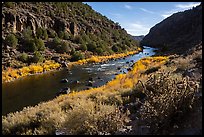 Cactus and shurbs in autumn, John Dunn Bridge Recreation Site. Rio Grande Del Norte National Monument, New Mexico, USA ( color)