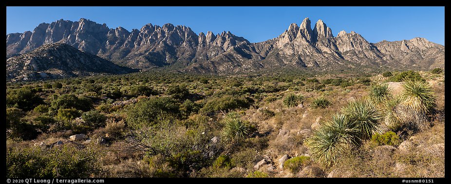 Organ needles, Rabbit Ears, Baylor Peak above Aguirre Springs. Organ Mountains Desert Peaks National Monument, New Mexico, USA (color)