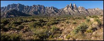Organ needles, Rabbit Ears, Baylor Peak above Aguirre Springs. Organ Mountains Desert Peaks National Monument, New Mexico, USA (Panoramic color)