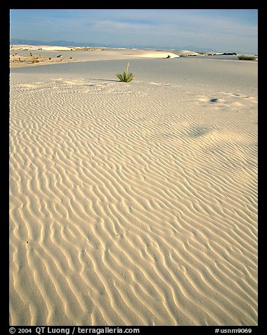 Ripples in sand dunes. White Sands National Park, New Mexico, USA.