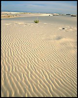 Ripples in sand dunes. White Sands National Monument, New Mexico, USA (color)