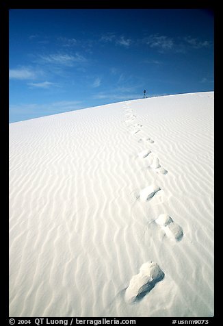 Footprints. White Sands National Park (color)