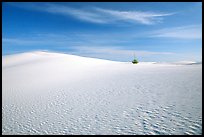 Pictures of White Sand Dunes