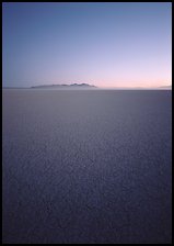 Flat playa with thin mud cracks, Black Rock Desert. Nevada, USA ( color)