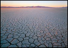 Cracked mud flat at sunrise, Black Rock Desert. Nevada, USA ( color)
