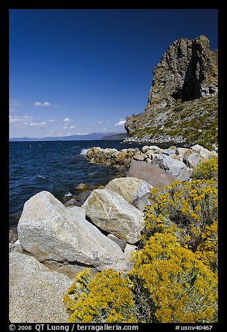 Sagebrush and Cave Rock, Lake Tahoe, Nevada. USA (color)