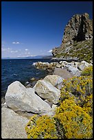 Sagebrush and Cave Rock, Lake Tahoe, Nevada. USA