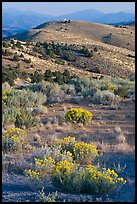 Sagebrush and hills, Virginia City, Nevada. Virginia City, Nevada, USA (color)