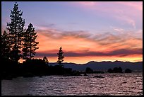 Shoreline with pine trees and rocks, Sand Harbor, East Shore, Lake Tahoe, Nevada. USA (color)