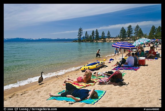 Families on sandy beach, Lake Tahoe-Nevada State Park, Nevada. USA (color)