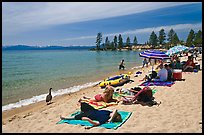 Families on sandy beach, Lake Tahoe-Nevada State Park, Nevada. USA (color)