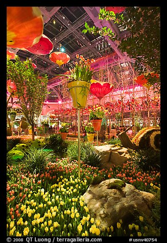Botanical gardens inside Bellagio Hotel. Las Vegas, Nevada, USA (color)