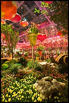 Botanical gardens inside Bellagio Hotel. Las Vegas, Nevada, USA ( color)