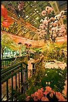 Botanical garden and conservatory with green light, Bellagio Casino. Las Vegas, Nevada, USA