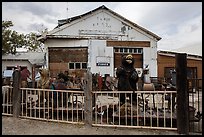 Wood sculptures and weathered building, Gerlach. Nevada, USA ( color)