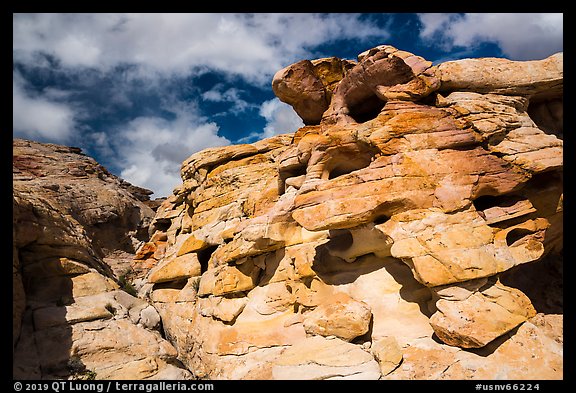 Rocks, Whitney Pocket. Gold Butte National Monument, Nevada, USA (color)