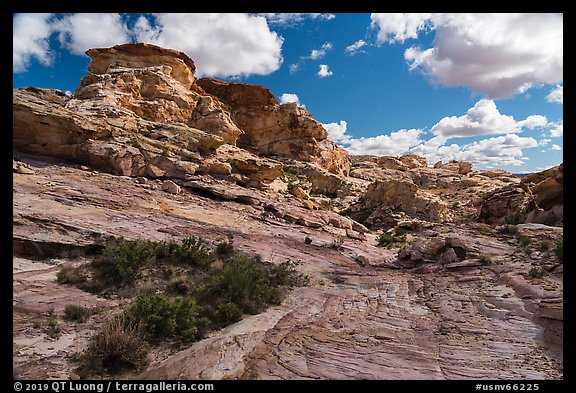 Whitney Pocket. Gold Butte National Monument, Nevada, USA (color)