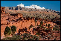 Cliff with palm trees below Little Finland. Gold Butte National Monument, Nevada, USA ( color)