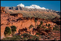 Cliff with palm trees below Little Finland. Gold Butte National Monument, Nevada, USA ( color)