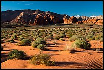 Sand dunes. Gold Butte National Monument, Nevada, USA ( color)