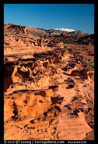 Mesa with eroded sandstone formations. Gold Butte National Monument, Nevada, USA (color)