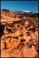 Mesa with eroded sandstone formations. Gold Butte National Monument, Nevada, USA ( color)