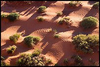 Dunes from above. Gold Butte National Monument, Nevada, USA ( color)