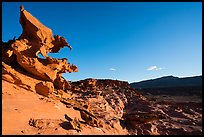 Hobgoblins Playground, afternoon. Gold Butte National Monument, Nevada, USA ( color)