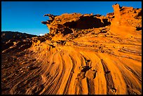 Swirl, Little Finland. Gold Butte National Monument, Nevada, USA ( color)