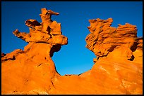Thin fins of sandstone. Gold Butte National Monument, Nevada, USA ( color)