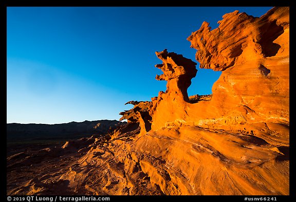 Devils Fire, late afternoon. Gold Butte National Monument, Nevada, USA (color)