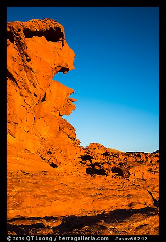 Weathered sandstone a Little Finland. Gold Butte National Monument, Nevada, USA (color)