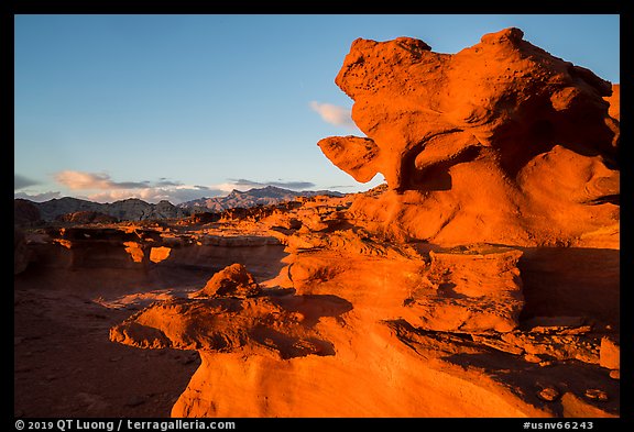 Little Finland, sunset. Gold Butte National Monument, Nevada, USA (color)